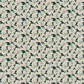Blossoms
