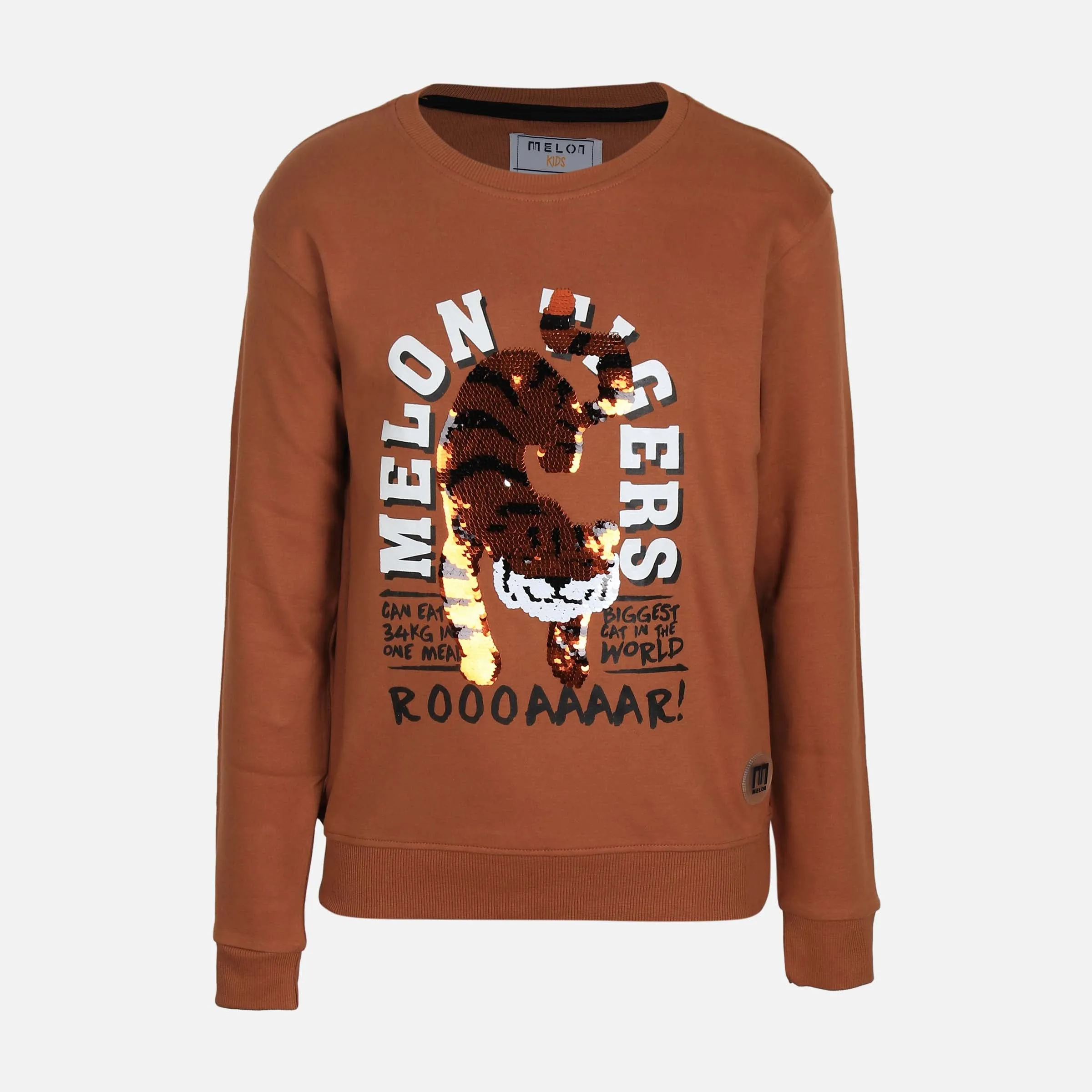 BOYS PULLOVER